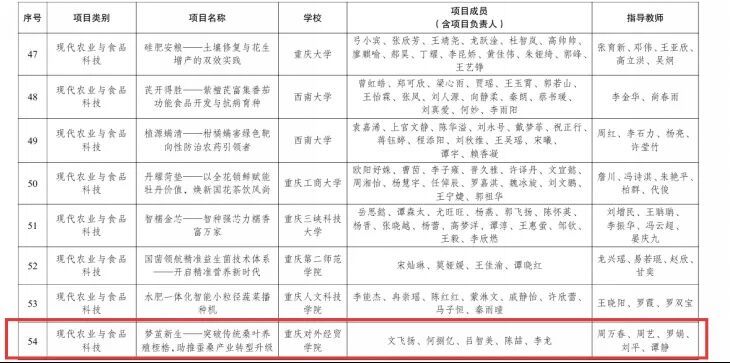 三等奖4项
